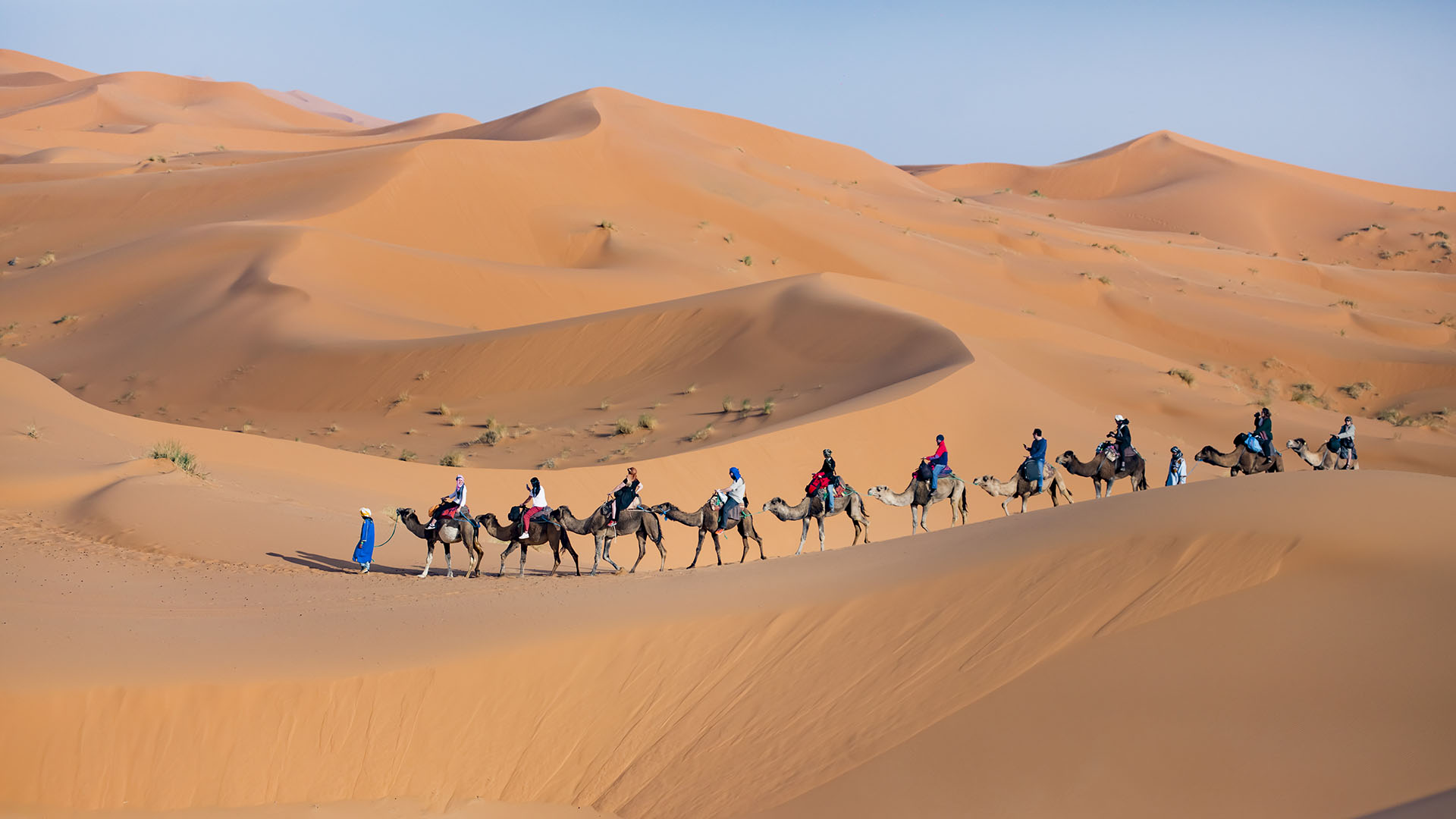 Camel Trekking